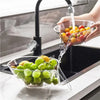 MultiDrain™ | Transparenter Basket (2+1 GRATIS)